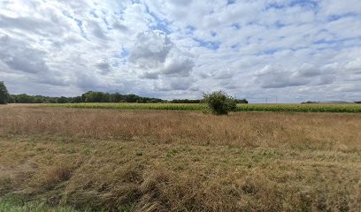 Aximotravo immobilier Sylvie Leloup, Agence Immobilière à Montcresson