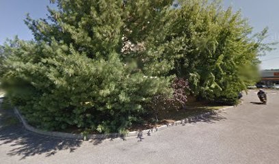 Sci Allemand, Agence Immobilière à Rumilly