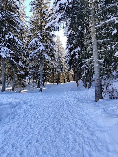 Synd Copro Imm Rocsabal, Agence Immobilière à La Perrière