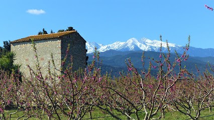 South Blue, Agence Immobilière à Vernet-les-Bains