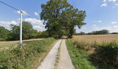Delapierre Christine Lucienne, Agence Immobilière à Saint-Menoux