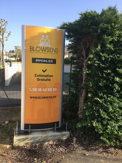 BLOWSENS, Agence Immobilière à Sainte-Soulle