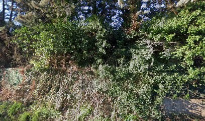 Emmanuelle BERTRI conseillère mandataire en immobilier pour BSK, Agence Immobilière à La Crau