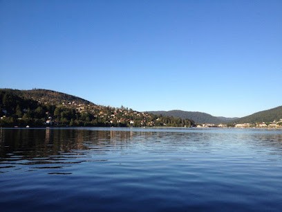 Immo Des Vallees Vosgiennes, Agence Immobilière à Vagney