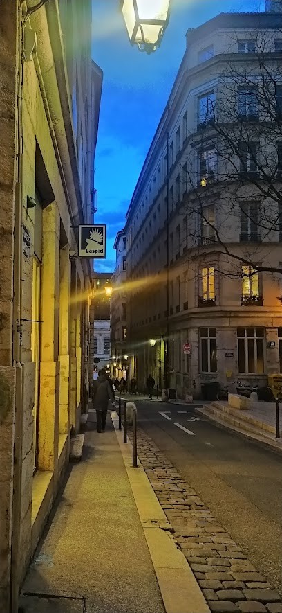 Agence des Pentes, Agence Immobilière à Lyon 01