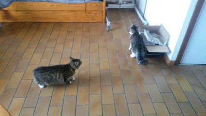 Brethes Emmanuel, Agence Immobilière à Eugénie-les-Bains