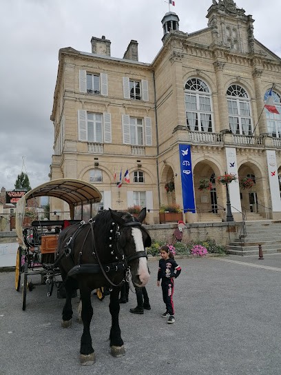Logissia Permanence Sées, Agence Immobilière à Sées