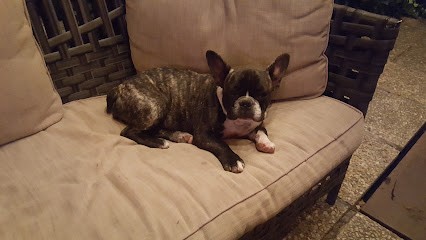 L'Agence de Rose, Agence Immobilière à Vernègues