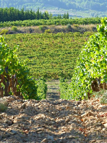 Cabinet Kacendre IMMOBILIER, Agence Immobilière à Saint-Mathieu-de-Tréviers
