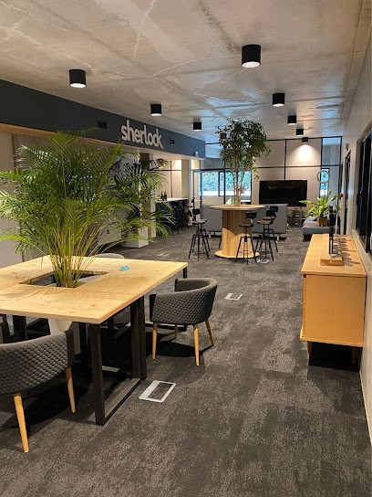 Sherlock - immobilier, Agence Immobilière à Rillieux-la-Pape