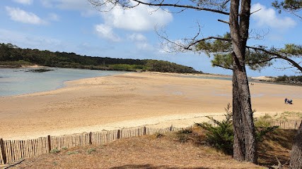 Iad France - Sarah Joussaume -, Agence Immobilière à Talmont-Saint-Hilaire