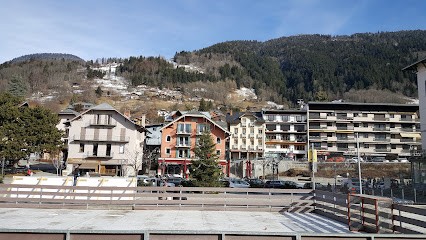 Mark Johnston Conseiller Immobilier CAPIFRANCE, Agence Immobilière aux Contamines-Montjoie