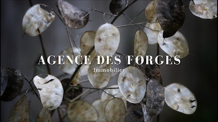 Agence des Forges Immobilier - Agence de Vallet, Agence Immobilière à Vallet