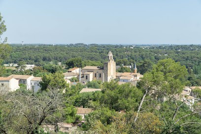Flavien Dutau Immobilier, Agence Immobilière à Clapiers