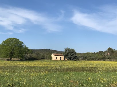 Le Chat Immo, Agence Immobilière à Tavernes