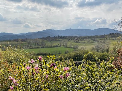 Pilat Estate Agency Pélussin, Agence Immobilière à Pélussin