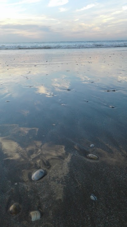 Synd Copro Residence Les Phalenes, Agence Immobilière à Deauville