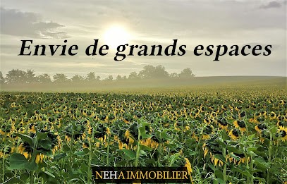 NEHA IMMOBILIER, Agence Immobilière à Furdenheim