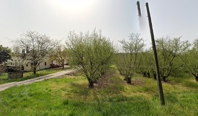 Wotnots worlwide property sales, Agence Immobilière à Eymet