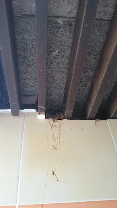 Hérault Logement, Agence Immobilière à Frontignan