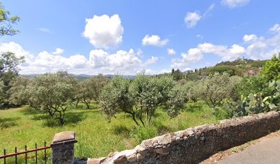 Cabinet Falconetti Immobilier, Agence Immobilière à Grimaud