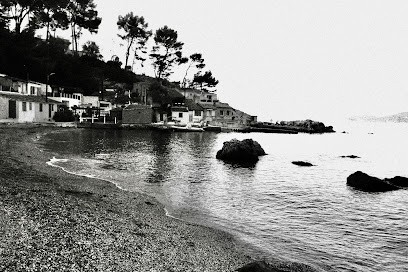 Vincent Marelli Conseiller immobilier SAFTI, Agence Immobilière à La Garde