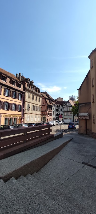 Cesard Immobilier, Agence Immobilière à Sélestat