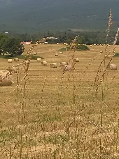 Michel DESURVIRE La Fourmi Immo - Les Mées, Peyruis, Malijai, Agence Immobilière aux Mées