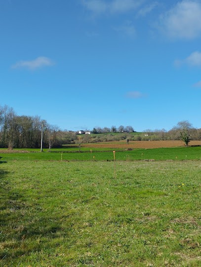 Nadia NAKHLA, Conseillère immobilier indépendante SAFTI, Agence Immobilière à Séméac
