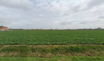 Brackenier Berangere, Agence Immobilière à Thumeries