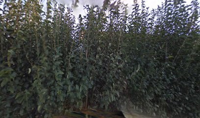 Alizé Vaucluse, Agence Immobilière à Sorgues