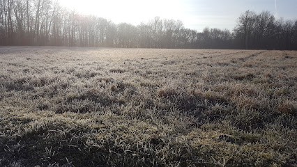 Letendre Sylvain, Agence Immobilière à Viels-Maisons
