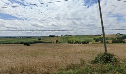 Zarroca SAS, Agence Immobilière à Peyrecave