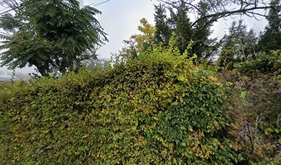 Sci C2M, Agence Immobilière à Montbéliard