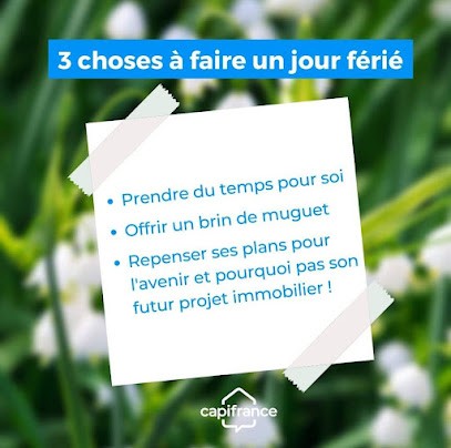 EI Iulia Mihaela STEYER, Agence Immobilière à Duttlenheim