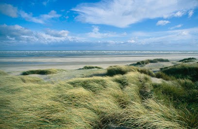 Agence Bergounioux, Agence Immobilière au Touquet-Paris-Plage