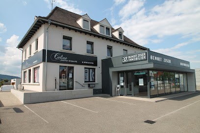 Benoit Ziser Immobilier, Agence Immobilière à Sélestat