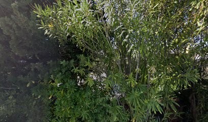 Le Service Monaco-Immat, Agence Immobilière à Levens