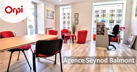 Agence Immobilière Consultant Immobilier Cecile GIRARDIN Seynod, Agence Immobilière à Seynod
