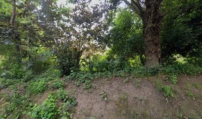 Immo France Normandie, Agence Immobilière à Veauville-lès-Quelles