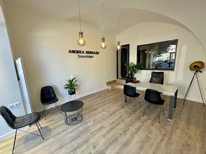 Andrea Bernard Immobilier, Agence Immobilière à Issoire