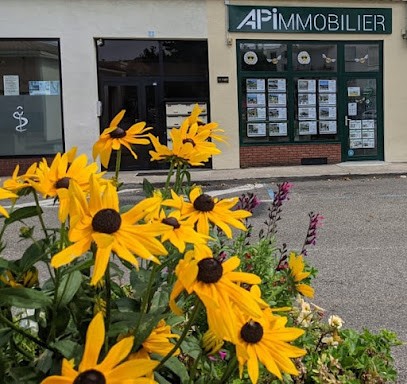 APImmobilier Roussillon, Agence Immobilière à Roussillon