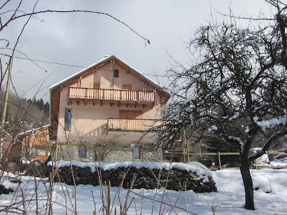 Chalet 3 Valleys Agence Immobilière aux Belleville