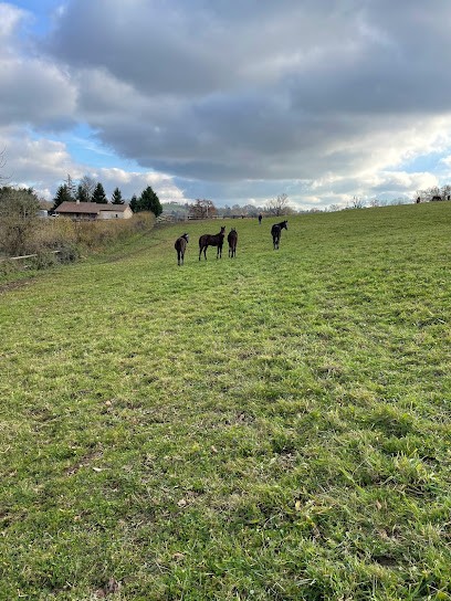Sci Du Haras de L Abbaye, Agence Immobilière au Vigen