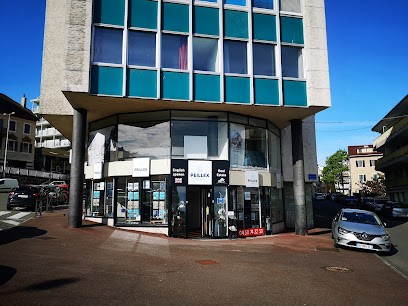 PEILLEX TRANSACTION EVIAN, Agence Immobilière à Évian-les-Bains