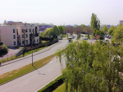 Alsace Prospect Home - Agence Immobilière En Alsace, Vente, Location Et Coaching, Agence Immobilière à Duttlenheim