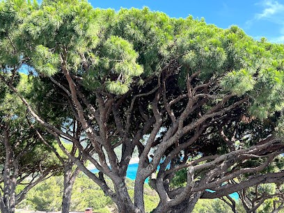 Les Parcs De Beauvallon, Agence Immobilière au Plan-de-la-Tour