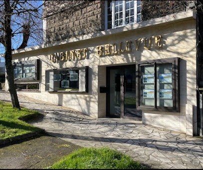 Agence Immobilière Cabinet Bellevue, Agence Immobilière à Meudon