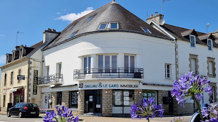 Clg Immobilier Agence Immobilière à Bénodet