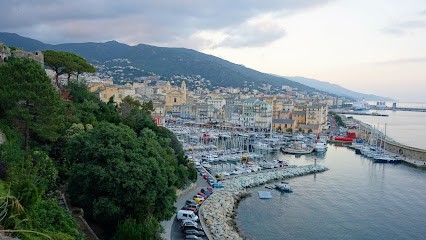 SCI Albarella, Agence Immobilière à Castellare-di-Casinca